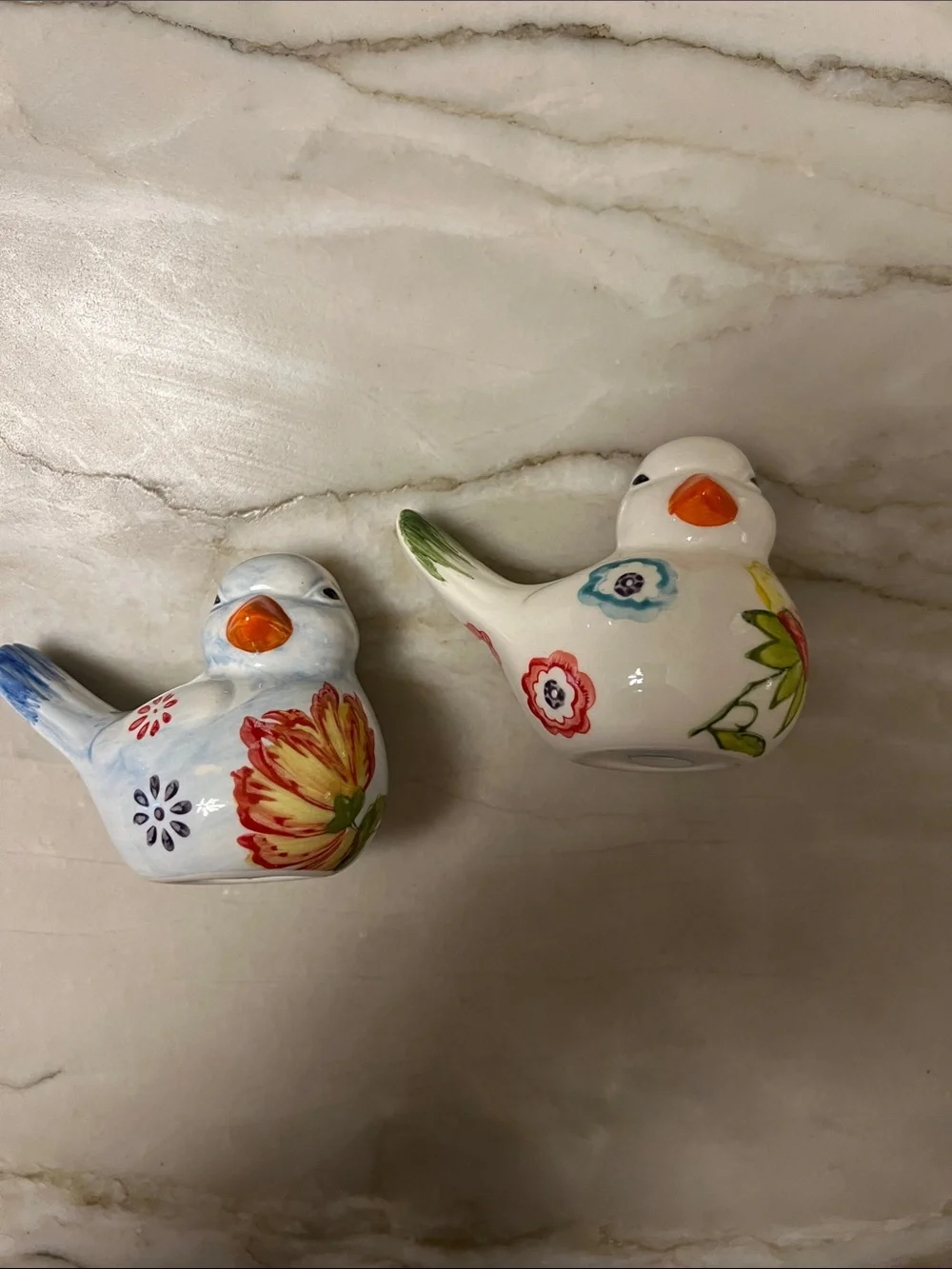 Charming Birds Salt & Pepper Shakers: Hand-Painted Ceramic Florals on Birds